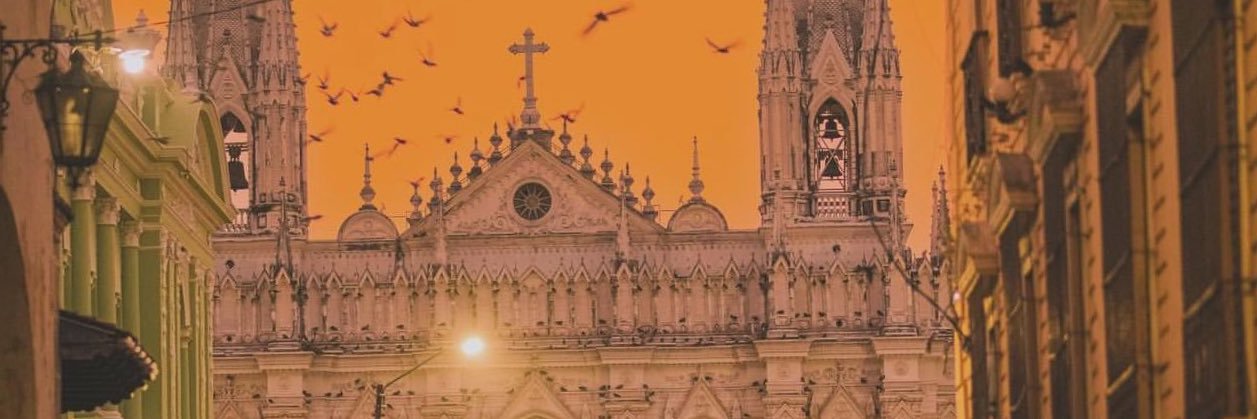 el_Mincho's profile banner image