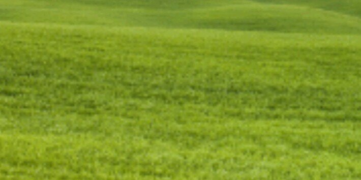 EnvirmentGlobal's profile banner image