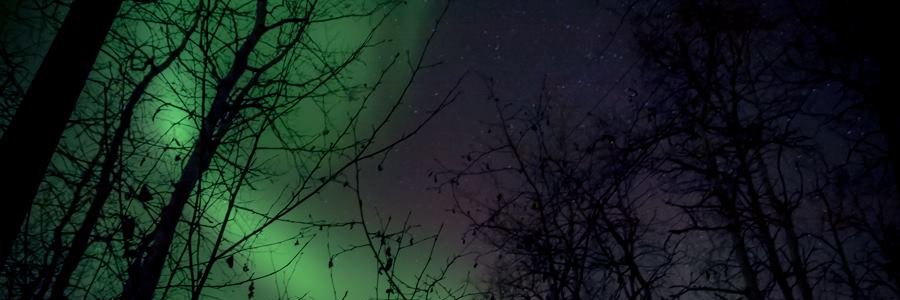 SustainedNorth's profile banner image