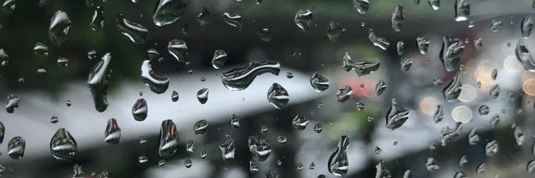 Thinker banner