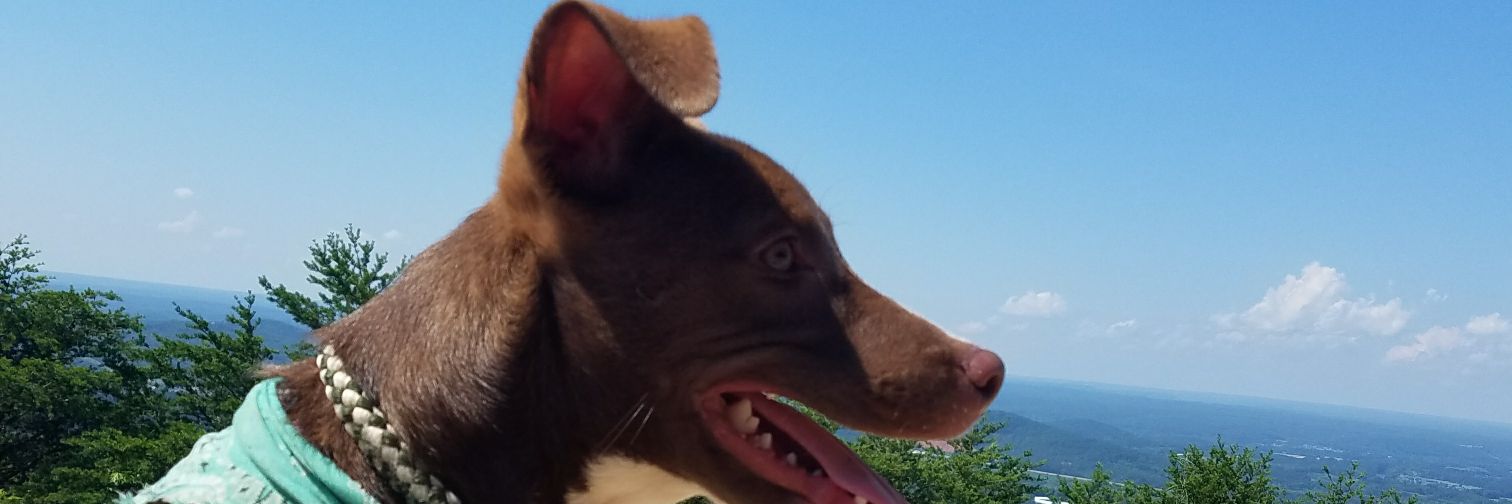 BHawksLG's profile banner image