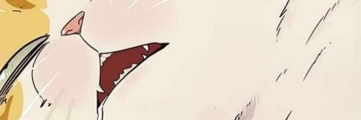 doliust's profile banner image