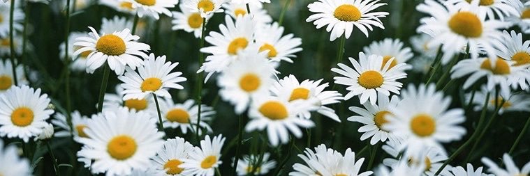 ozgee__ergunn's profile banner image