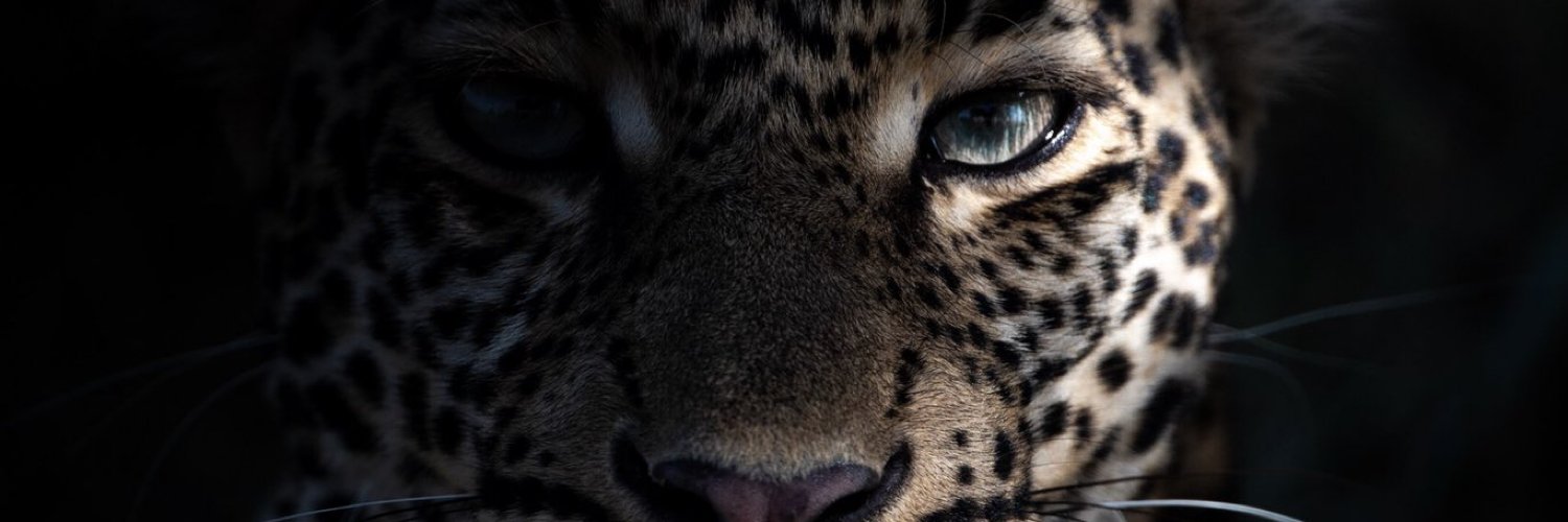 fhd_saud1's profile banner image