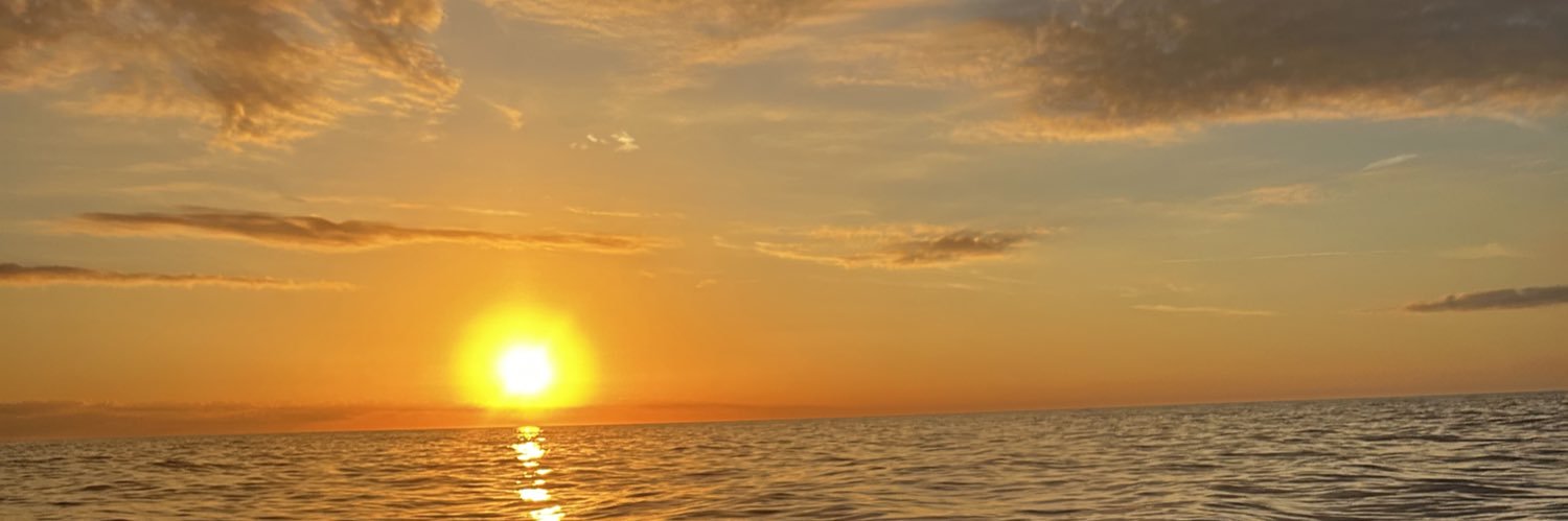 Shelabooo's profile banner image