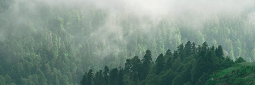 ChipmunkOf46's profile banner image