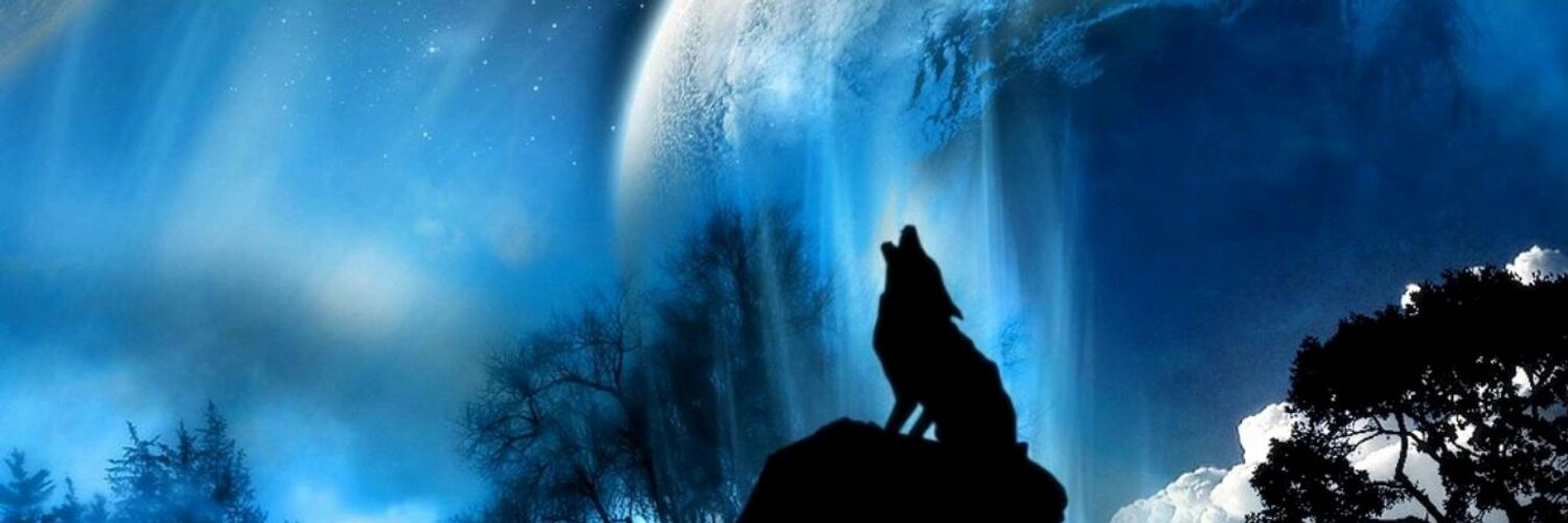 J💙seph Ⱳ🐺lғ banner