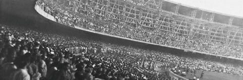 Pepeu banner