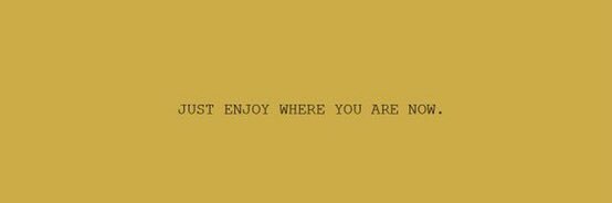 _LVST's profile banner image