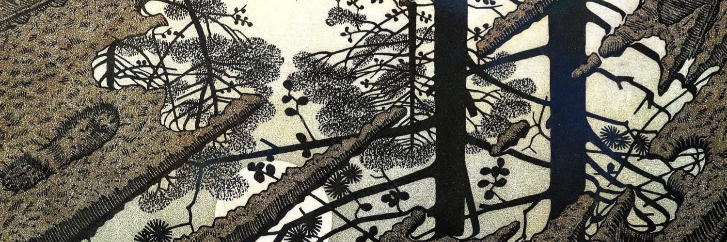 holasoydani's profile banner image