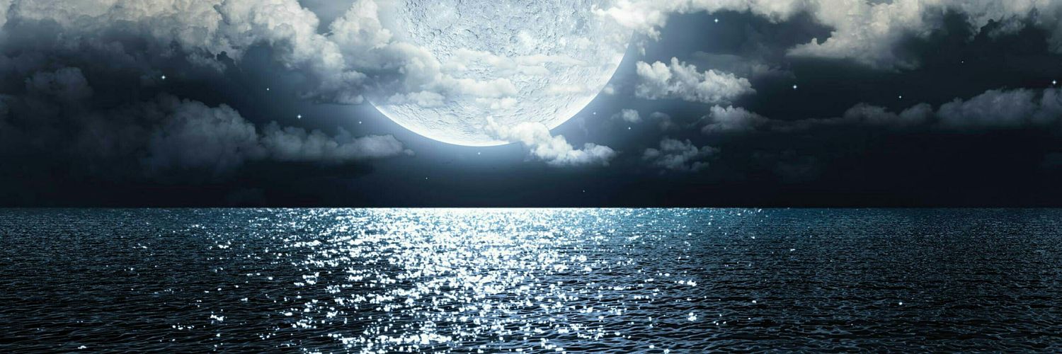 ❄️Penguin🐧 banner