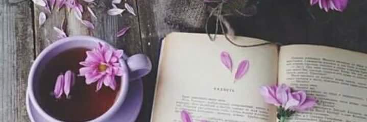 amonh_az's profile banner image
