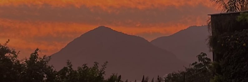 afahuii's profile banner image