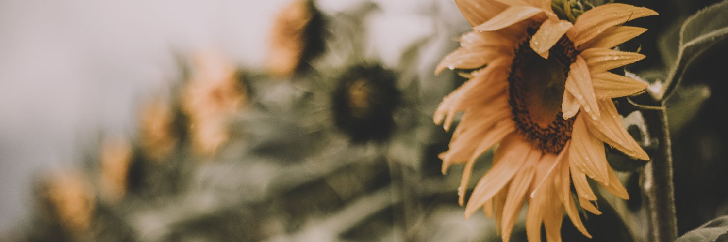 LeisyMartinez1's profile banner image