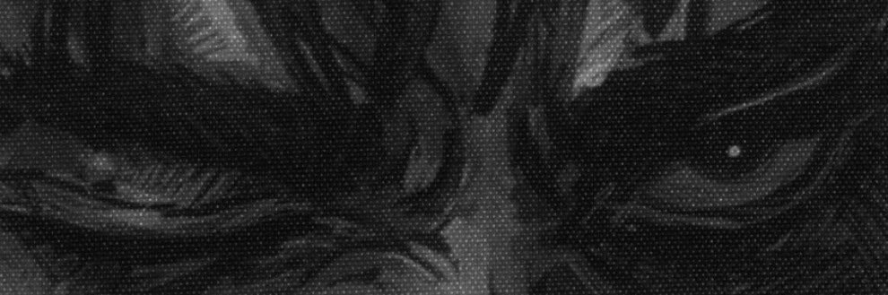 rPIRATE 🏴‍☠️🏴‍☠️🏴‍☠️ banner