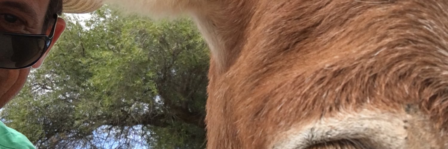 chcs1595's profile banner image