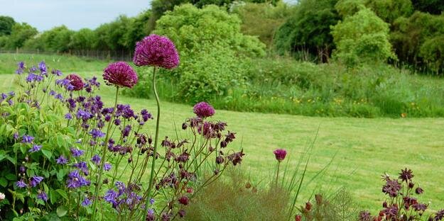 RacheldeThame's profile banner image