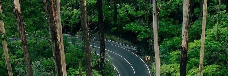 hamisi_rasheed's profile banner image