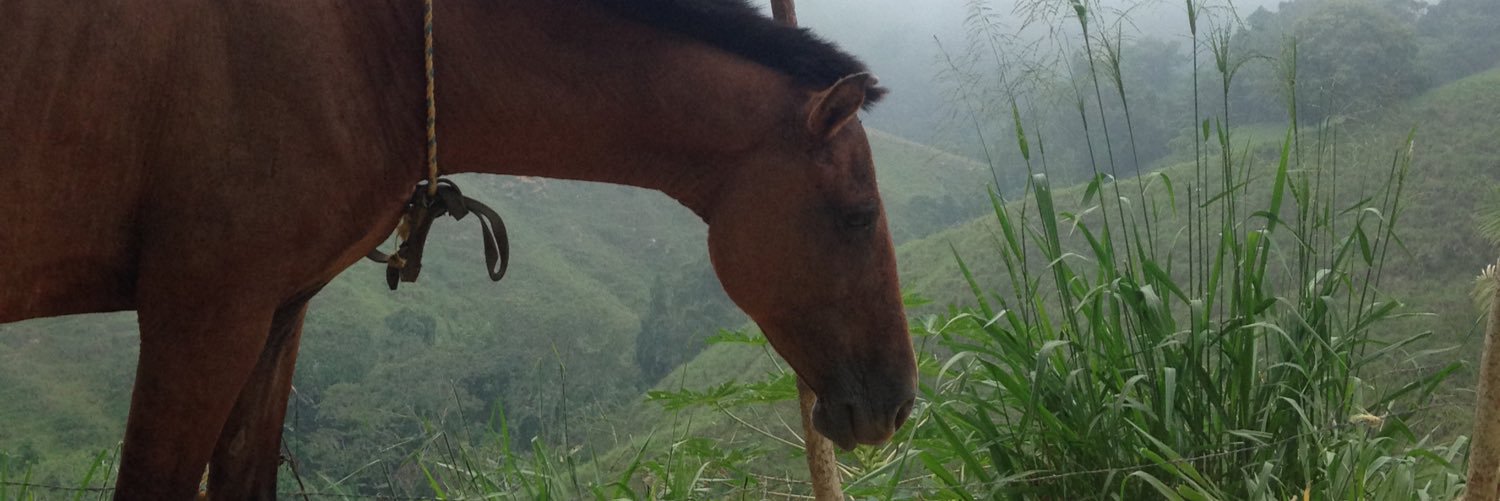 Fur_Elyse's profile banner image