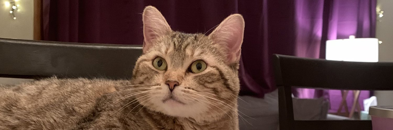 brookgirkin's profile banner image
