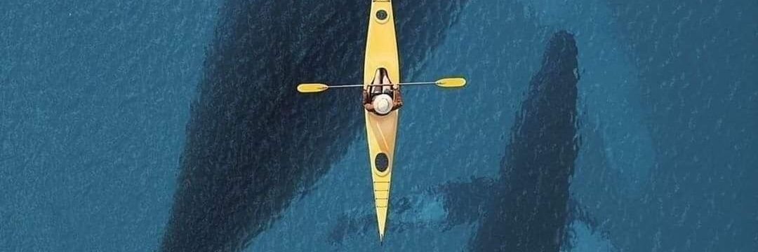 Carter Hammett banner