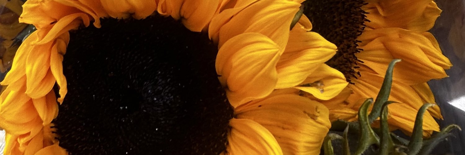 Sadé S's banner