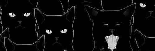AngeGmz's profile banner image