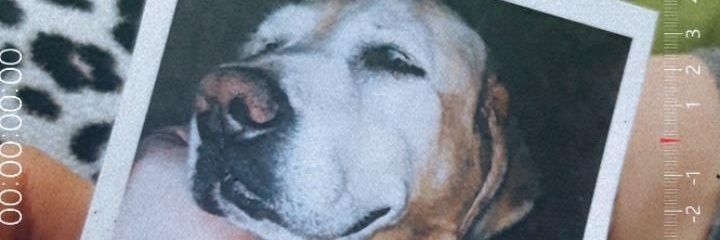 _smayra's profile banner image