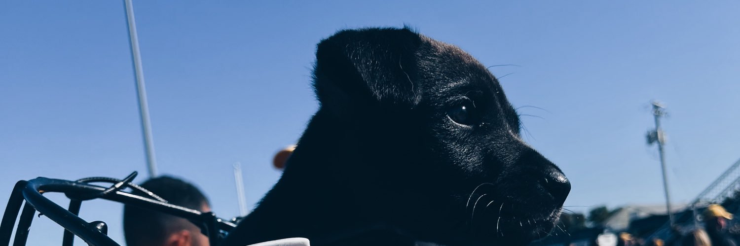 j_gracemudd's profile banner image