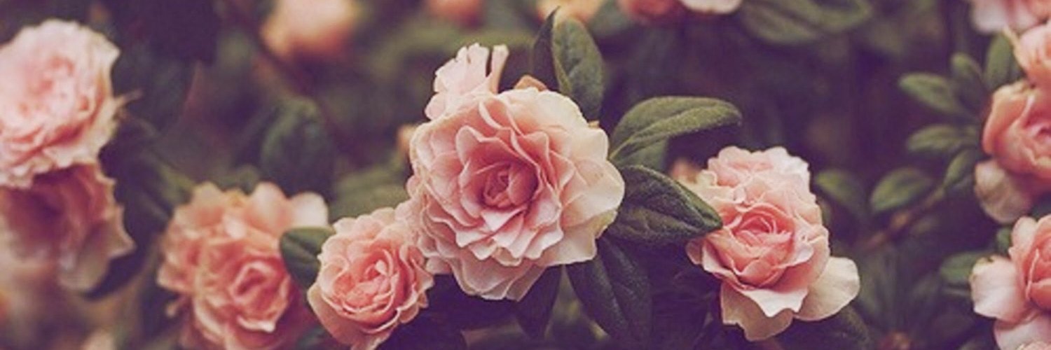 paolantonioa's profile banner image