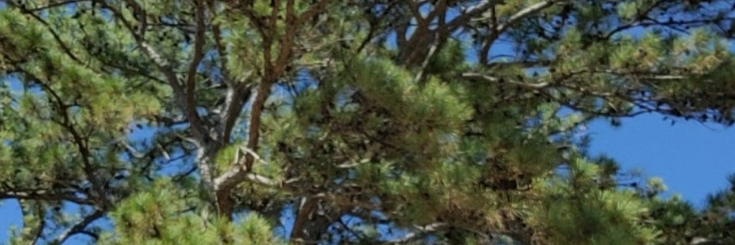 RyanKyun's profile banner image