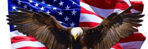 collinsBobby197's profile banner image