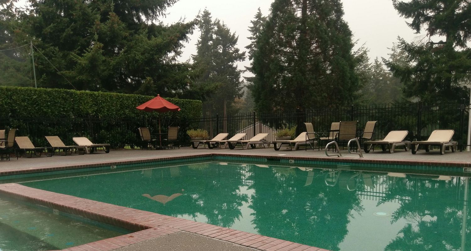 Stephanie Flynn banner