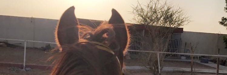jehad205's profile banner image