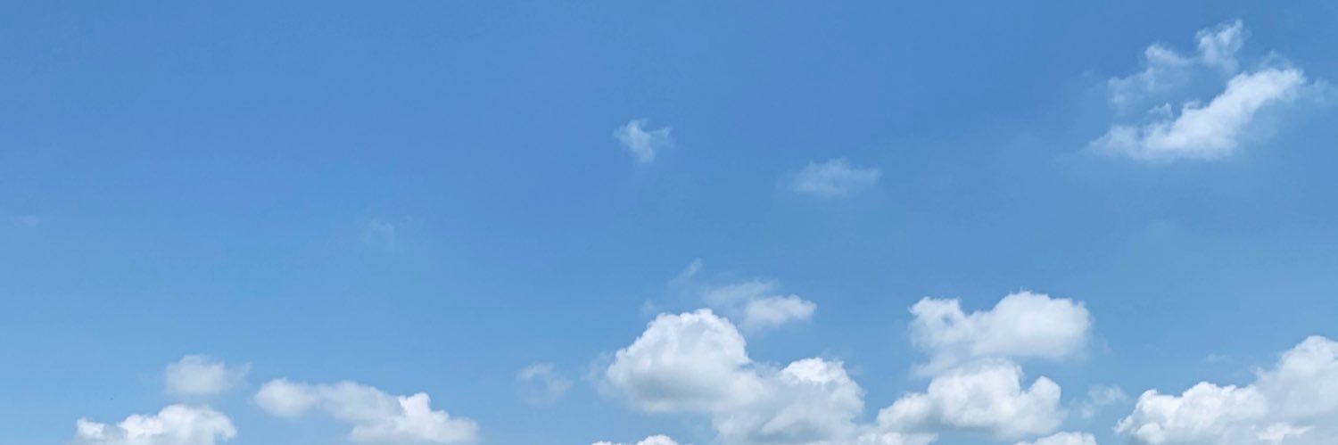 LiterallyEmy's profile banner image
