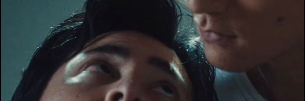 onça pintuda banner