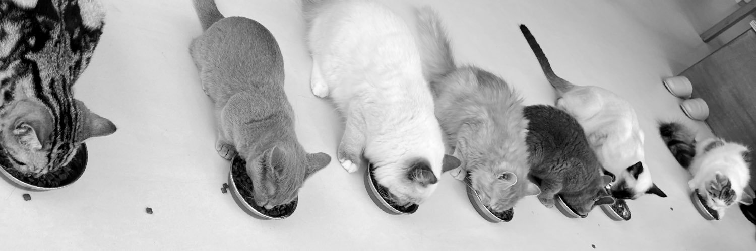 しゅーすけ banner