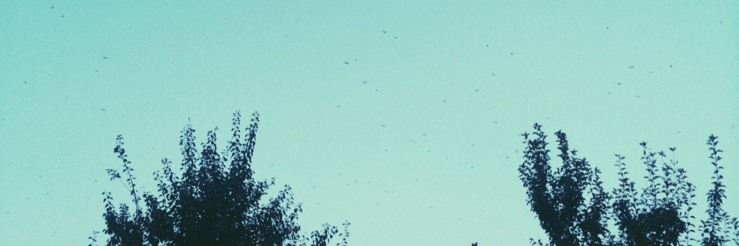 rabiahande's profile banner image