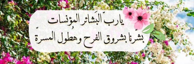 looo34_looo34's profile banner image