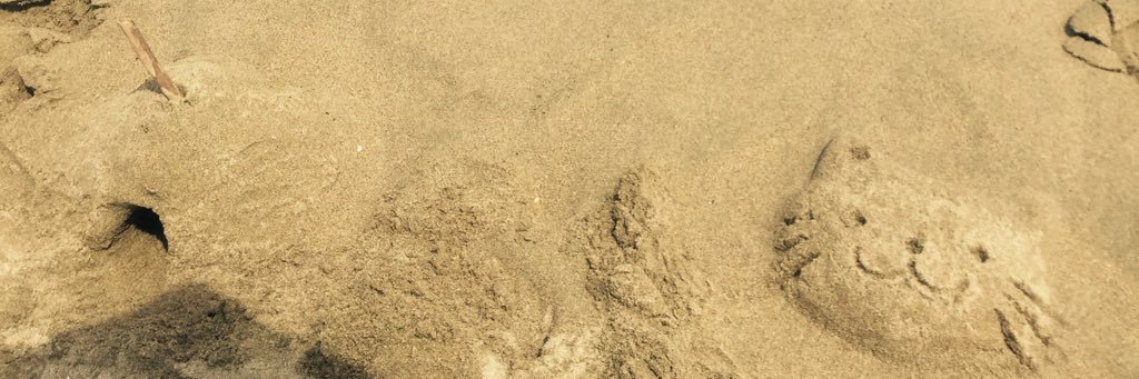 necoco712's profile banner image