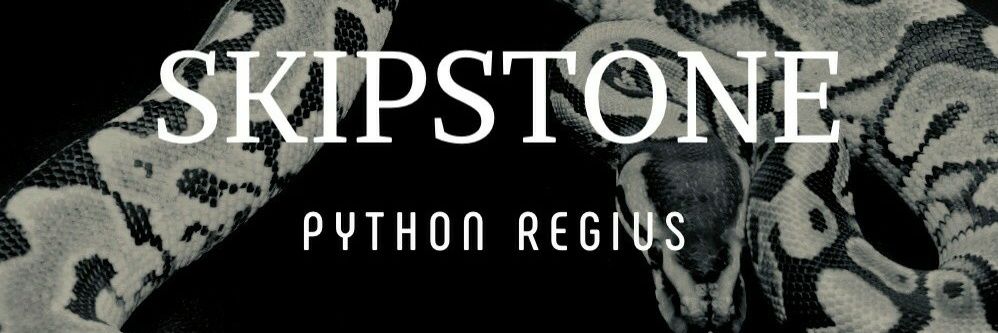 skipstonerep's profile banner image