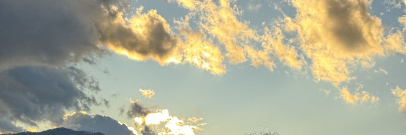 weish__'s profile banner image