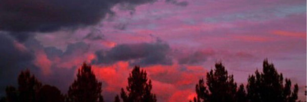 Shmalss_'s profile banner image
