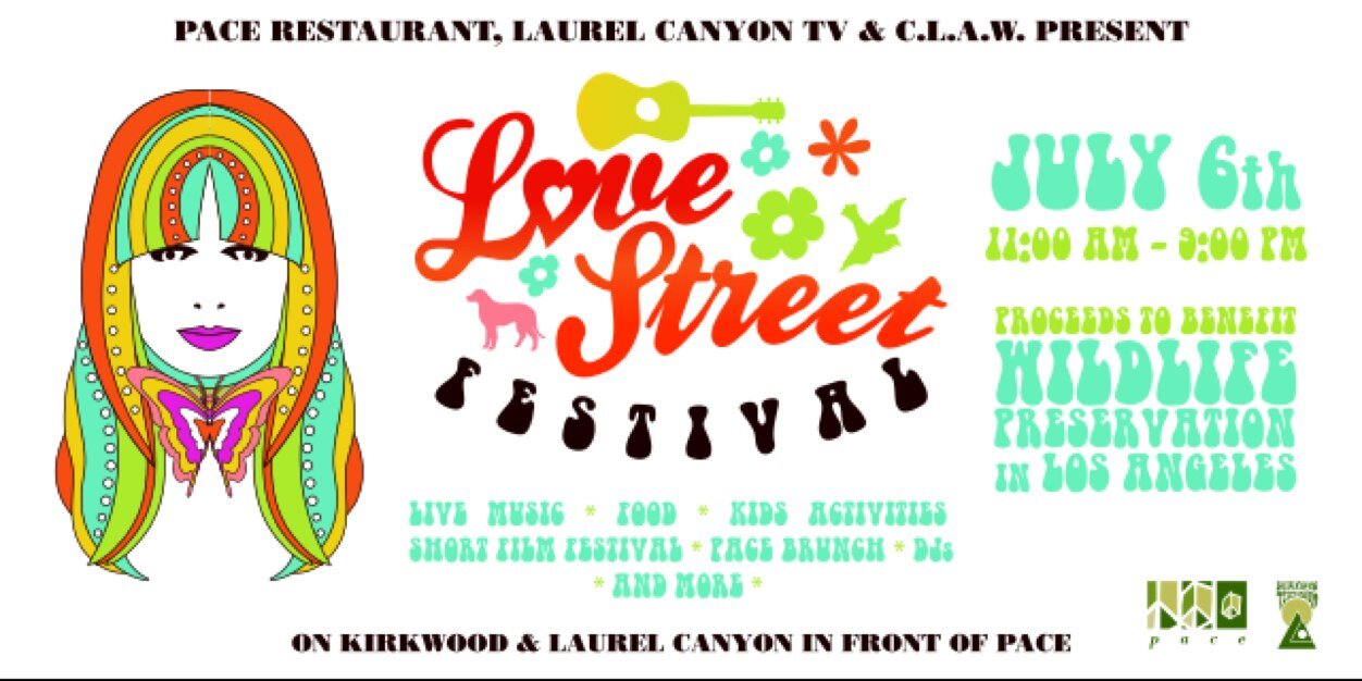 LoveStreetFest's profile banner image