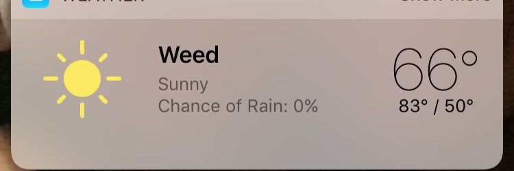 cookiedabae banner