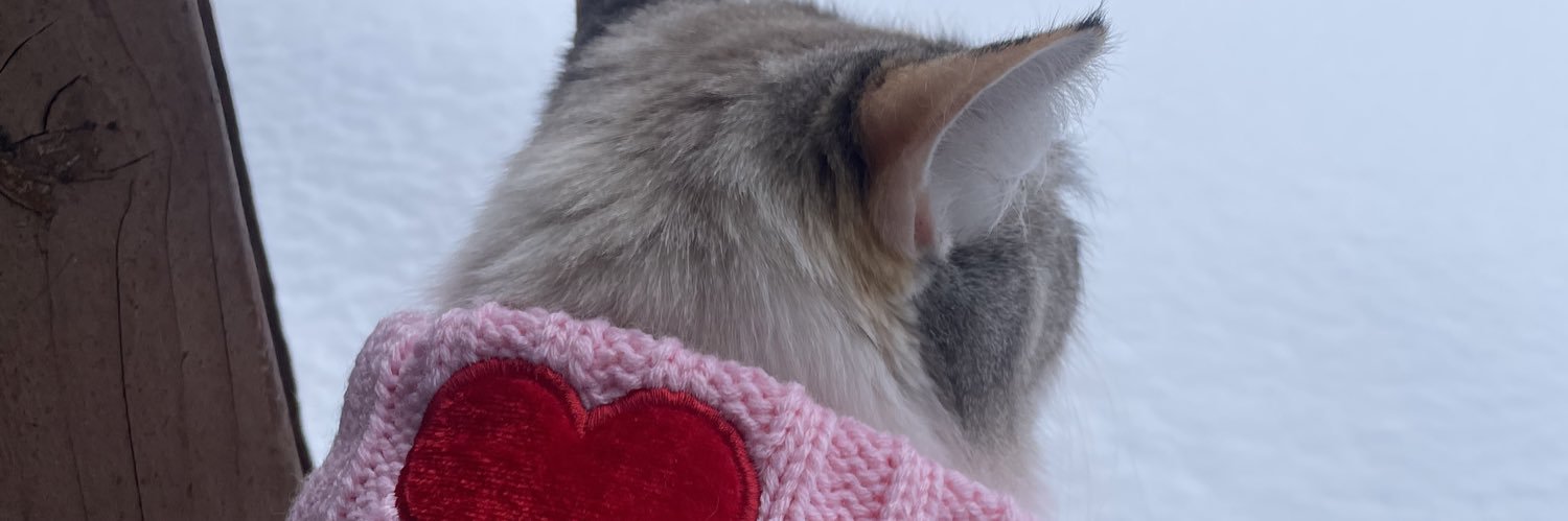 aubbys_'s profile banner image