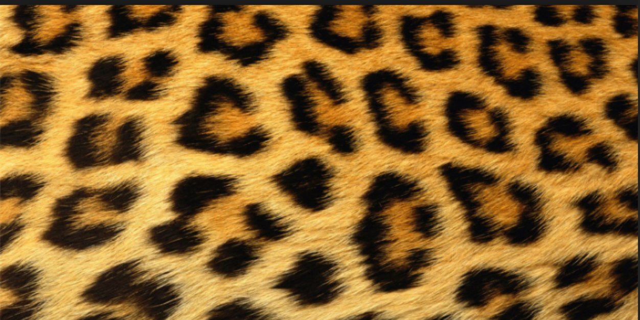 RachetSrat's profile banner image