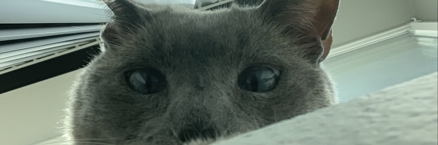 DannySchISU's profile banner image