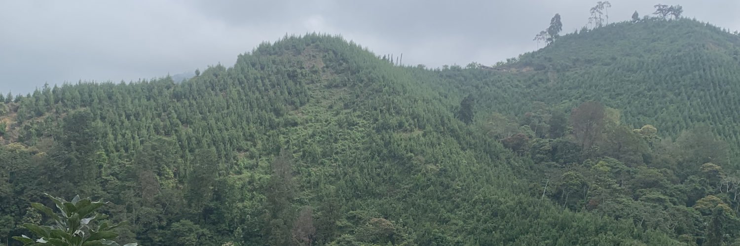 csandovaltris's profile banner image