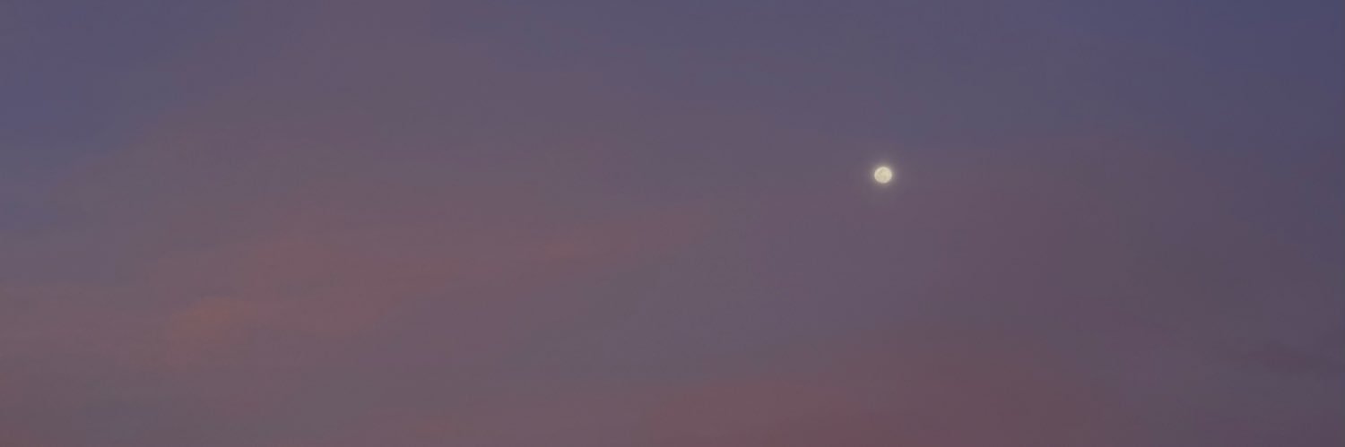 oceanblvdfag's profile banner image
